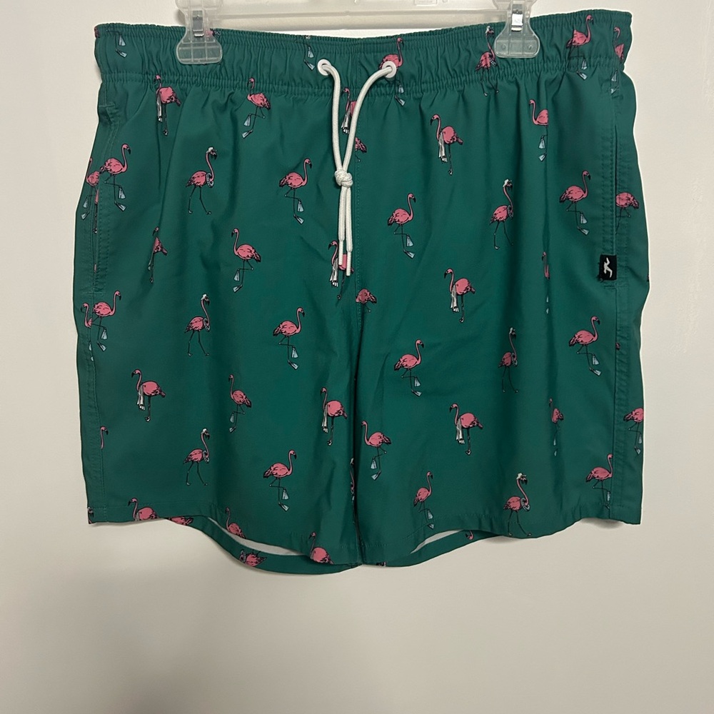 Hollister Marine Green Flamingo Swim Trunks Beach Wear